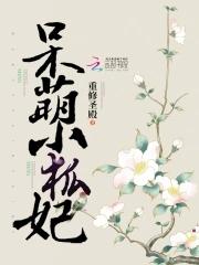 呆萌小狐狸图片大全
