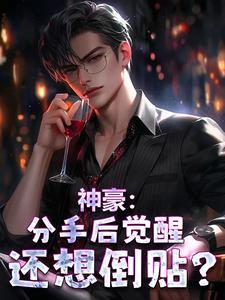 分手后就得回去继承亿万家产诸葛锦