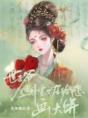 世子爷作品集