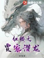 穿越红楼之贾家