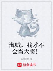 海贼我只会大招