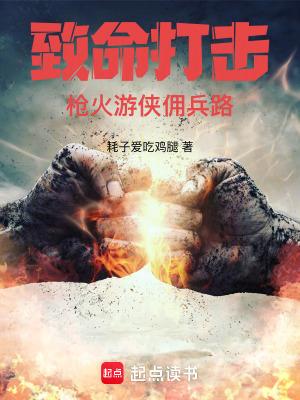 致命打击枪火游侠佣兵路TXT百度