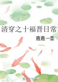 清穿之十福晋日常 作者邈邈一黍