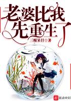 老婆比我先重生了TXT