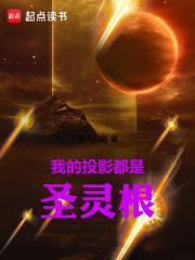 我的投影都是圣灵根笔趣