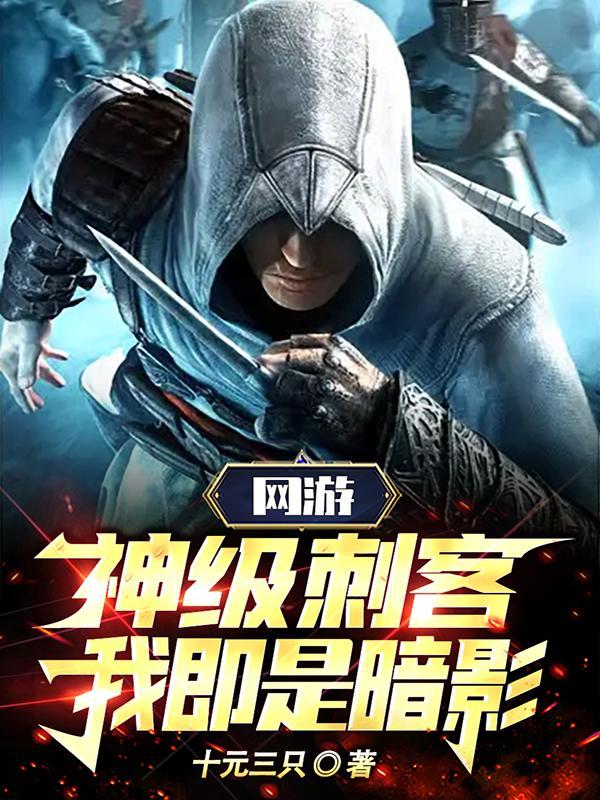 网游神级刺客我即是暗影无弹窗