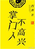 掌门人不高兴完结了吗