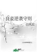 良妾养娃