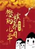 清穿之玫嫔