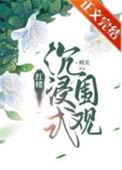 红楼沉浸式围观吐槽