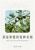 顶流和他的冤种青梅讲的什么