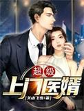 超级上门女婿免费
