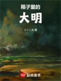 箱子里的大明高家村