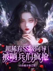 向导和哨兵的设定