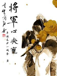 重生商女之少将又输了