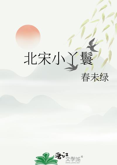 北宋小丫鬟附番外txt
