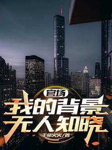官场故事