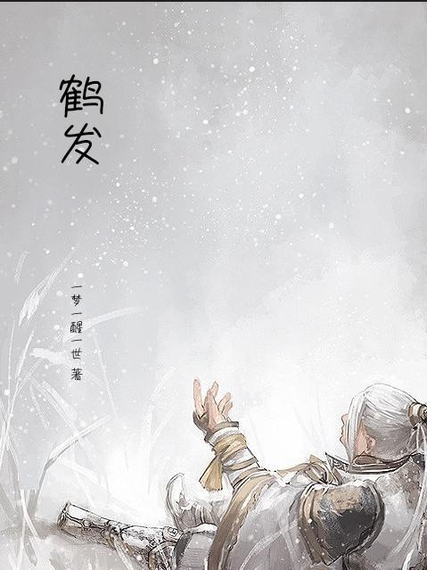 鹤发松姿的意思