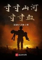 寸寸山河寸寸血出处