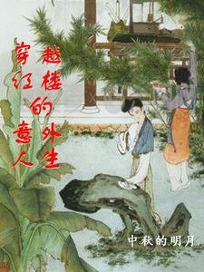 穿越红楼有哪些