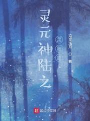 灵元是什么