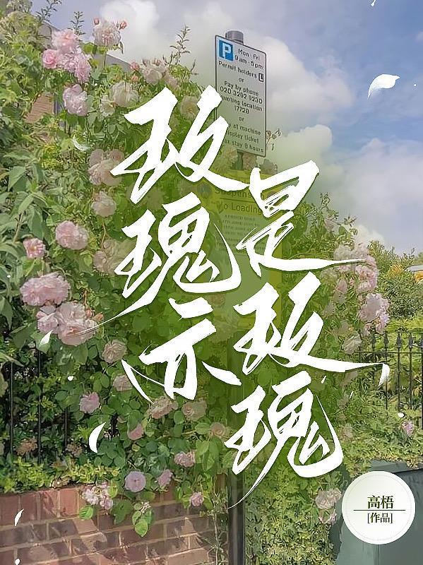 玫瑰就是玫瑰就是玫瑰就是玫瑰