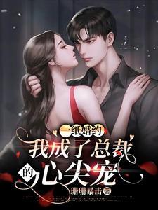 一纸婚书总裁