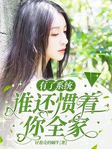 有个系统的人生