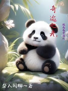 奇迹光之石(一)有什么用