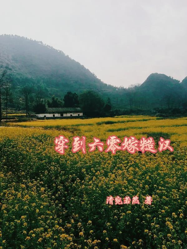 穿到六零嫁糙汉作者清宛