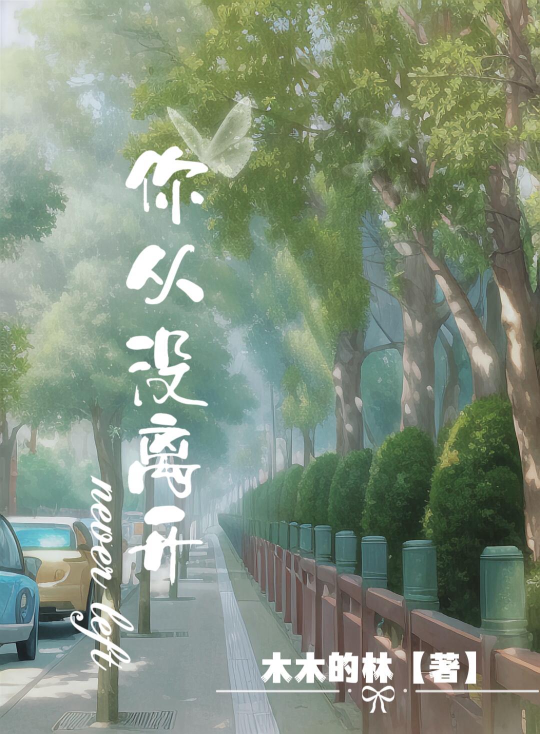 你从没离开过歌词是什么歌