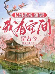 长姐有空间全文免费阅读