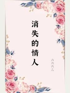 消失的爱人解析