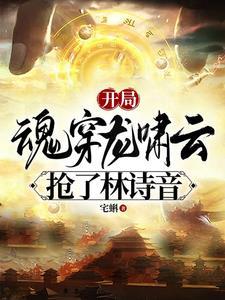 穿越林诗音