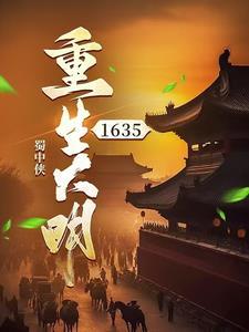 重生大明16 35