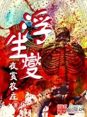 浮生夑的写作手法