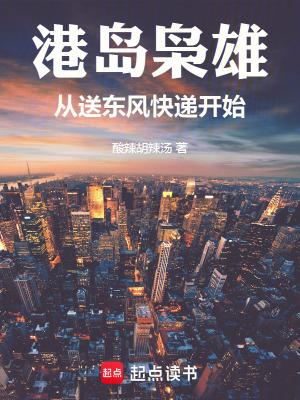 港岛枭雄从送东风快递开始TXT