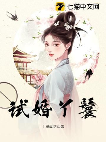 试婚丫鬟全文免费读