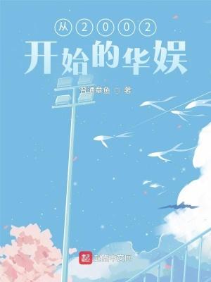 2000年开始的华娱