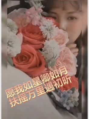 愿我如星君如月 狸子