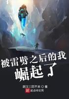 被雷劈之后的我崛起了官场