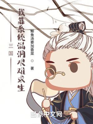 三国系统完结