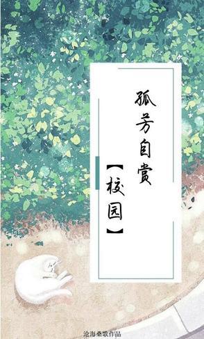 孤芳自赏免费阅读