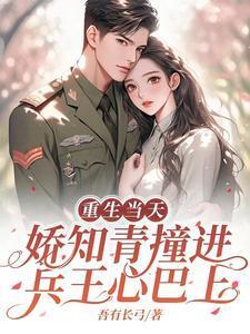 娇知青撞进兵王心巴上TXT
