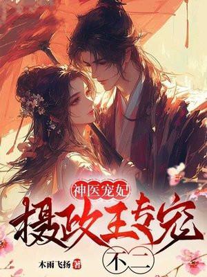 霸道摄政王的质子男妃txt