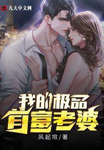我的极品老婆结局好吗