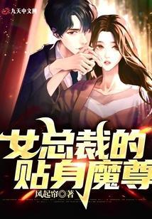 女总裁的贴身仙少