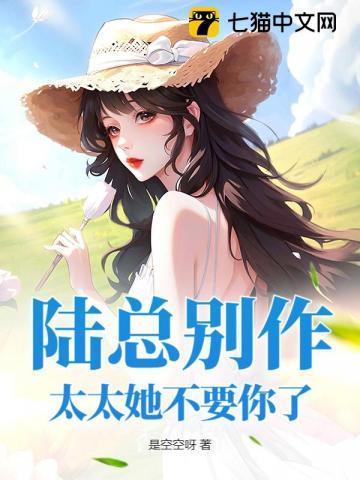 陆太太你好甜