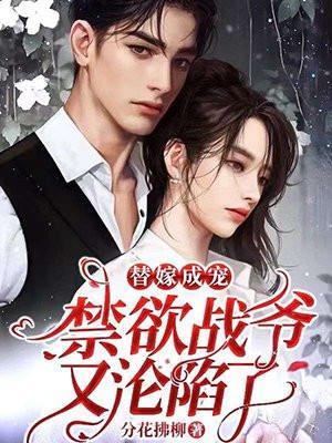 替嫁宠妻免费版阅读
