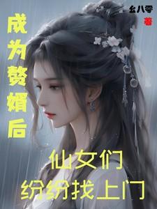 穿越成为赘婿的